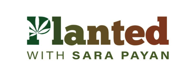 Planted with Sara Payan